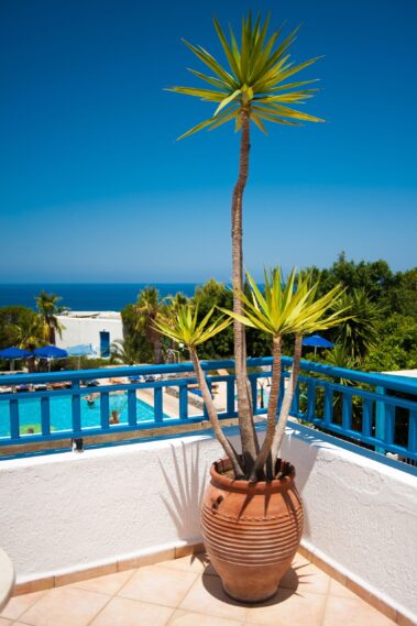 Sunshine Village - Photo of